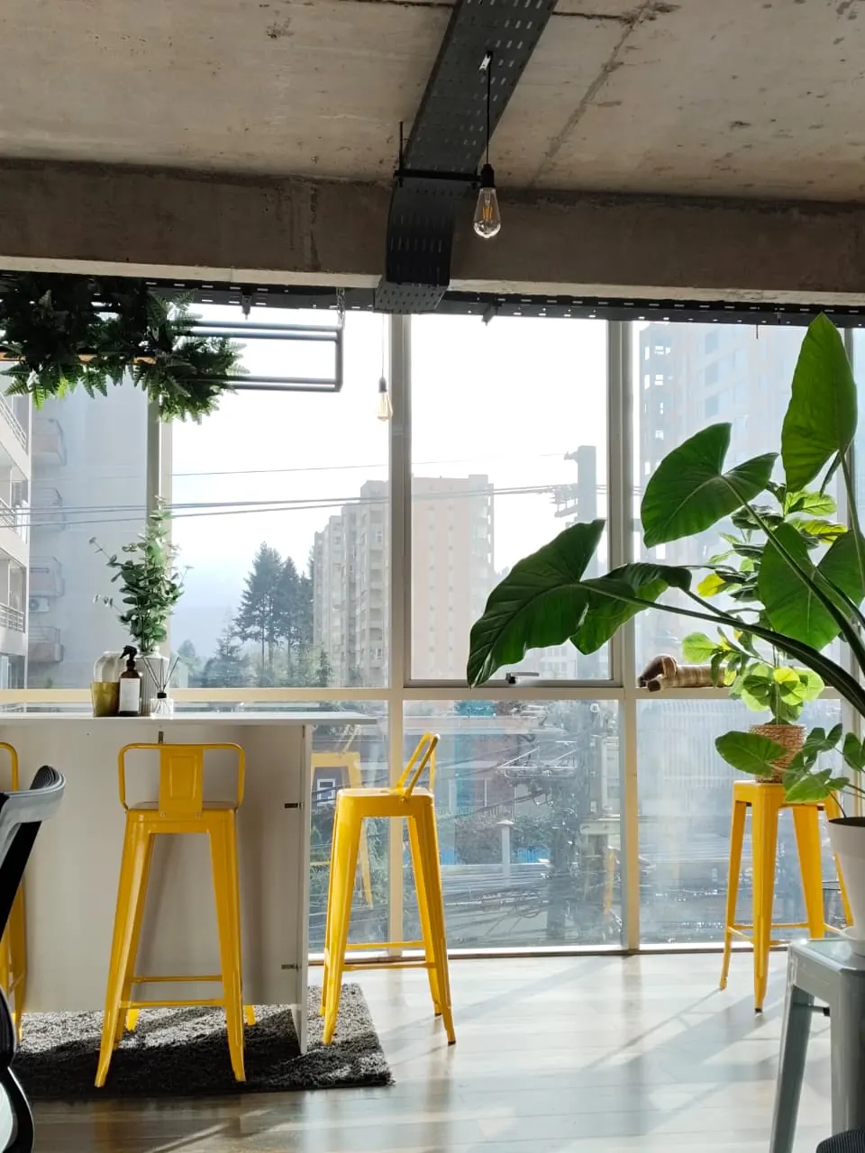 Espacio POINT UP Cowork Temuco